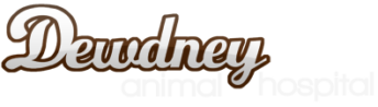 Dewdney Animal Hospital